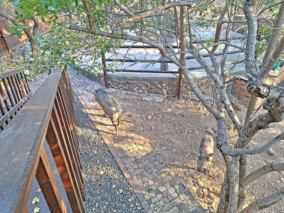 Loskop Serene Bush Cabin Winterkamp ภายนอก รูปภาพ